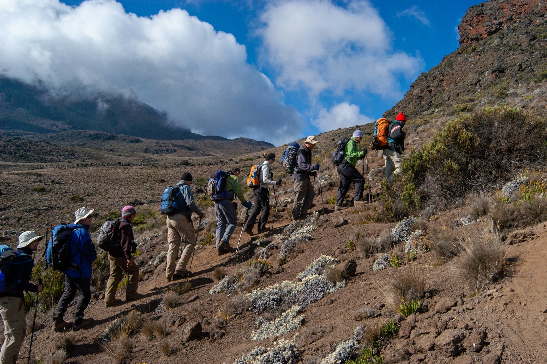 kilimanjaro trekking