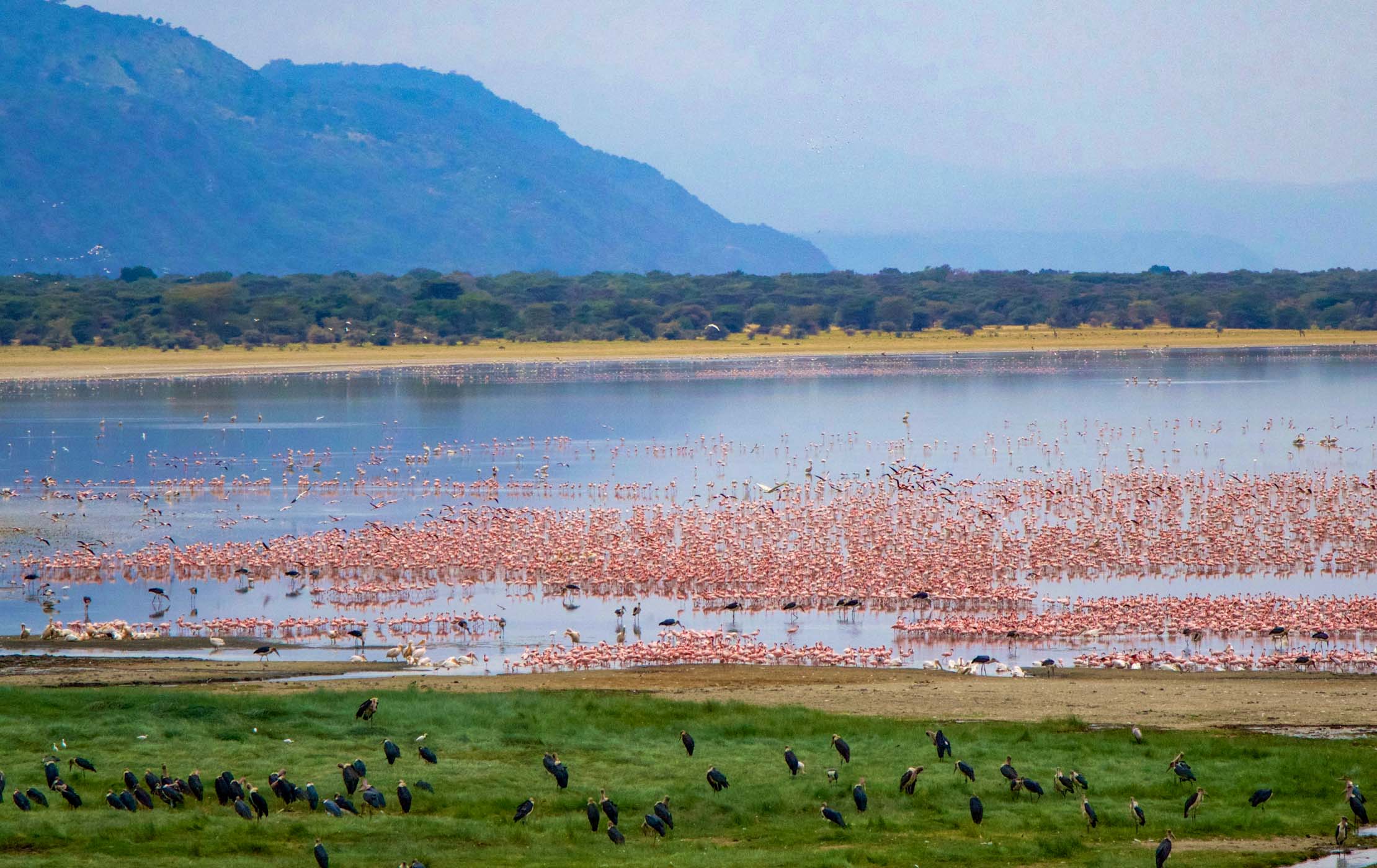 Lake Manyara National Park Tanzania Safari