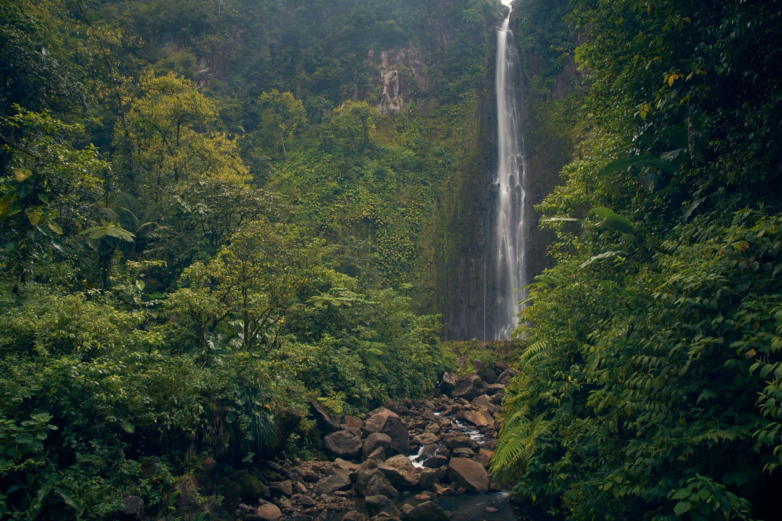 Materuni Waterfalls Tanzania rainforest adventure